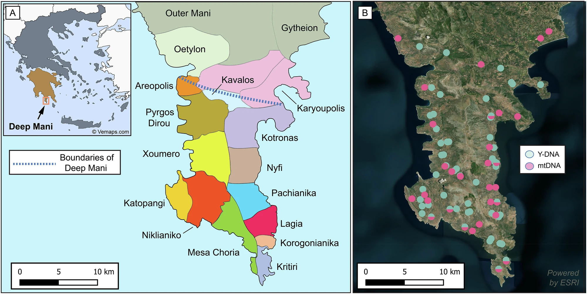 Deep Maniots: A Genetic Window into Southern Greece's Ancient Past